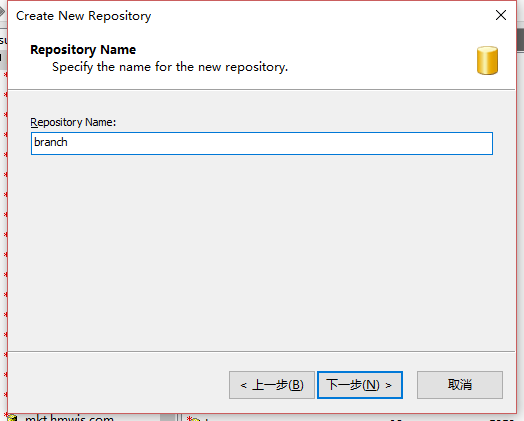 设置Repository Name：branch