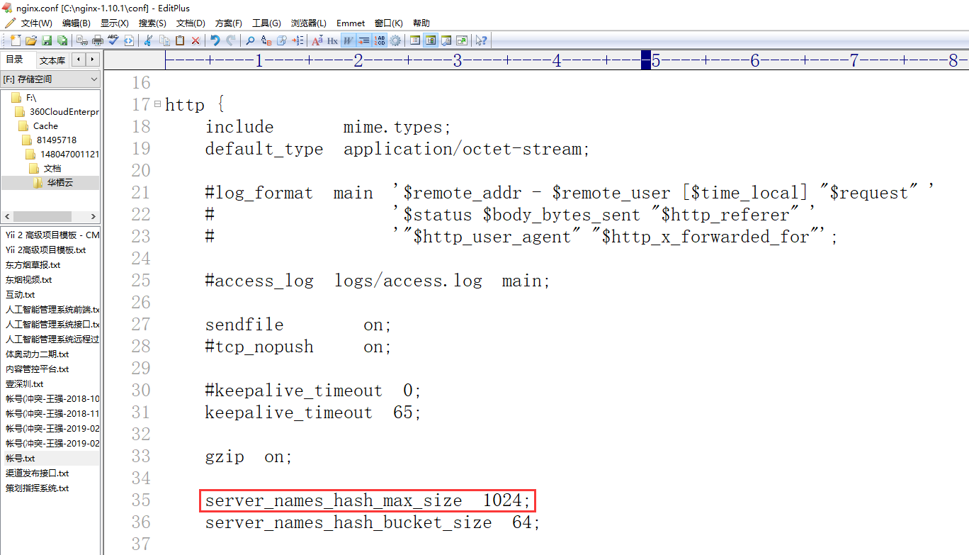 在这种情况下，首先尝试将 server_names_hash_max_size 设置为接近服务器名称数的数字。只有当这没有帮助时，或者如果 nginx 的开始时间长得令人无法接受，请尝试增加 server_names_hash_bucket_size。编辑 Nginx 配置文件，C:\nginx-1.10.1\conf\nginx.conf，添加 server_names_hash_max_size  1024