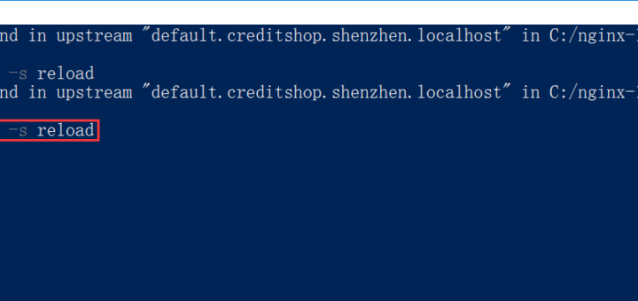 执行命令：nginx -s reload，重新加载 Nginx 配置，正常