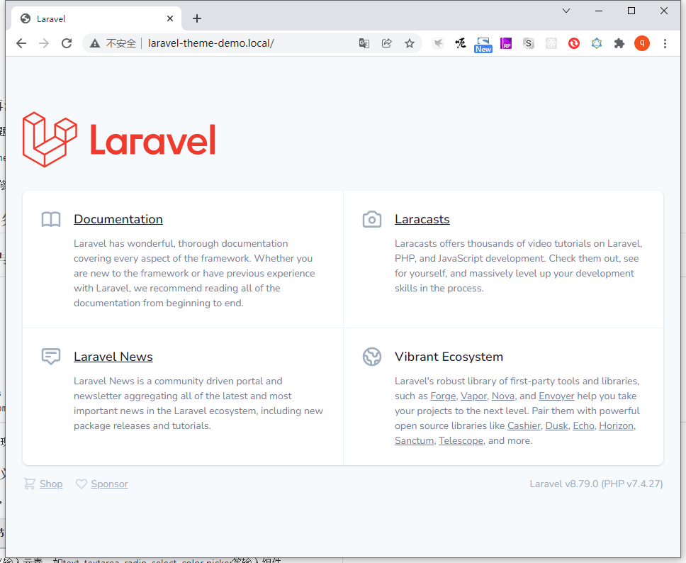 打开首页：http://laravel-theme-demo.local/ ，默认的界面