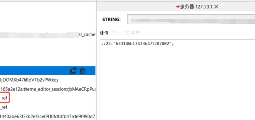 运行程序以后，查看 GUI for Redis 中的数据结构。展开 tag 。cache:tag:theme_editor:key 的值为：s:22:"633146b13433b471207802";。其表示关联的 key 为：cache:633146b13433b471207802:standard_ref。这是标签：theme_editor 生成的结构。总计为 2 个 key