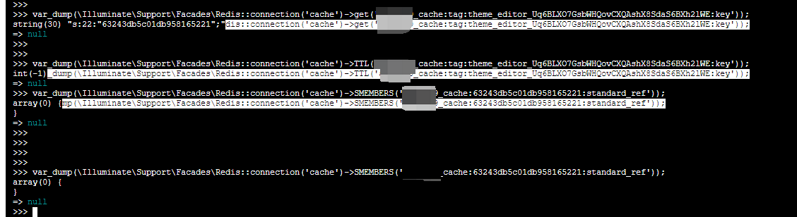 决定登录至 Redis 中确认一下，基于 Tinker 查询。按照如上的执行命令的顺序，以确认线上环境中是否存在对应的 key。确定对应的 key 未被完全清空。