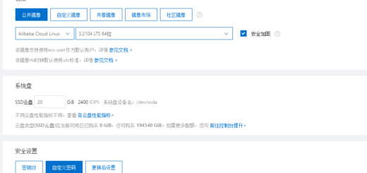 选择镜像：Alibaba Cloud Linux ， 3.2104 LTS 64位