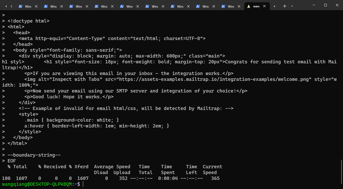 复制 cURL 中的示例代码，然后在 Linux 终端中粘贴，以测试邮件的发送