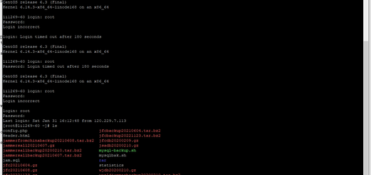 直接输入实例标识 linode286353 并回车，然后输入用户名 root，然后再输入密码，登录成功。