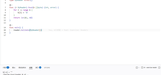 - 终端执行 `go run main.go` 输出 "OK!" ✅ - VSCode 编辑器红色波浪线提示：`could not import golang.org/x/tour/reader` ❌