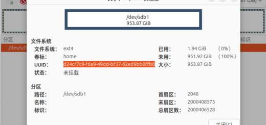 图10 – 新分区信息（UUID、卷标、文件系统）