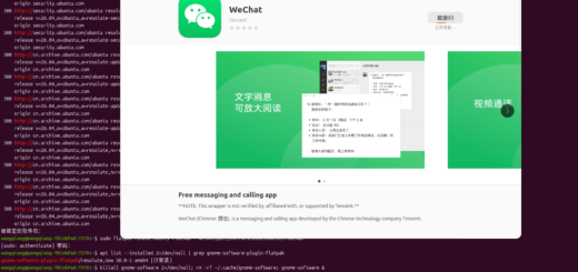 如图10：点击 安装 按钮，进度条显示“正在准备…”。