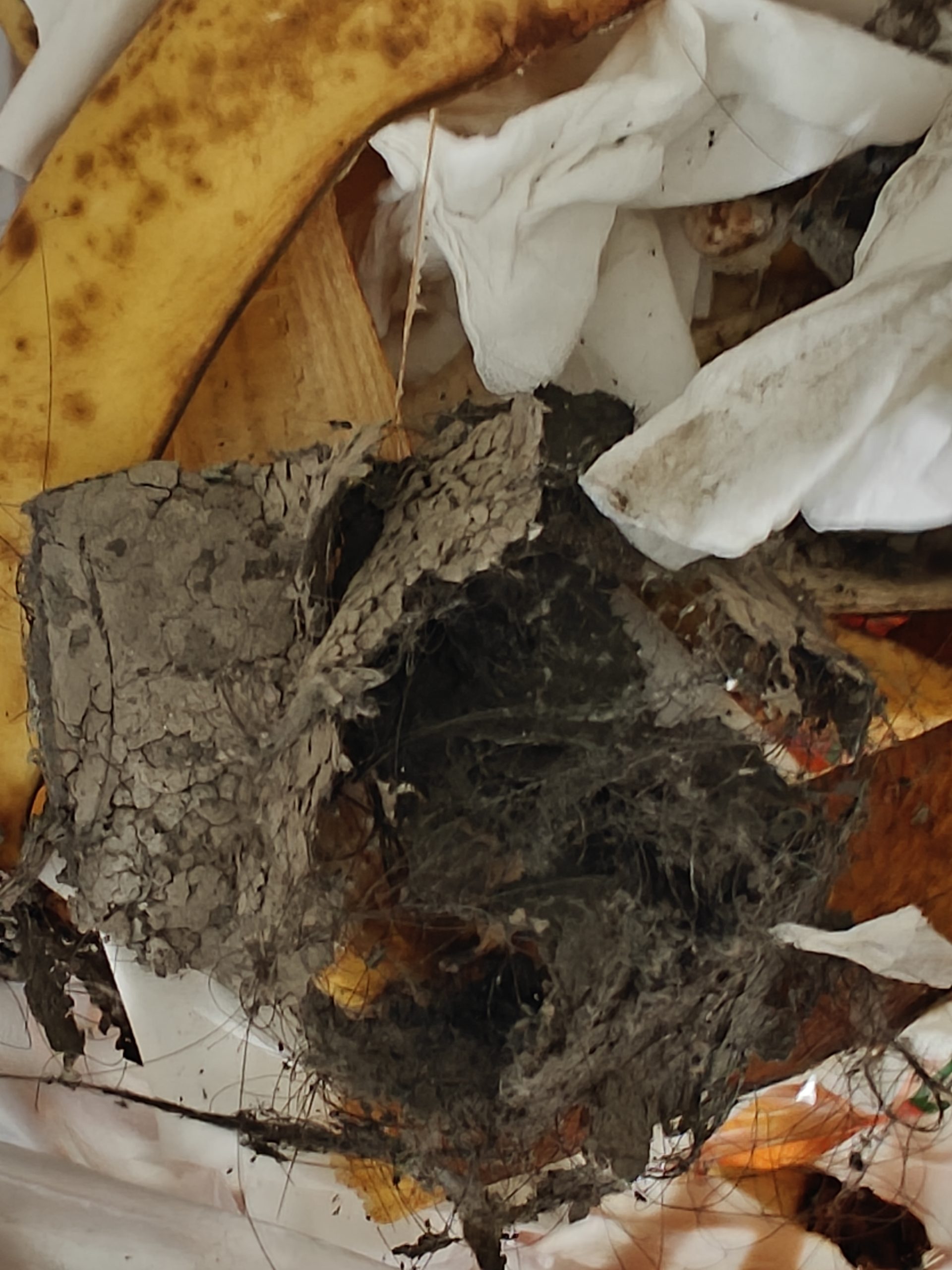 This is the garbage cleaned up this time, including hair, dust and a few cobwebs. I didn't expect these inconspicuous debris to be the "culprit" that caused the mop to not clean: as shown in Figure 2