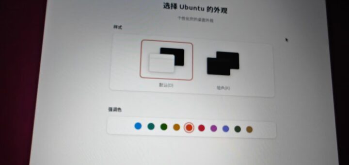 如图24 – 选择 Ubuntu 外观，高亮默认