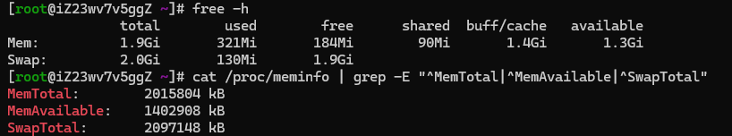 Check the overall memory of the server