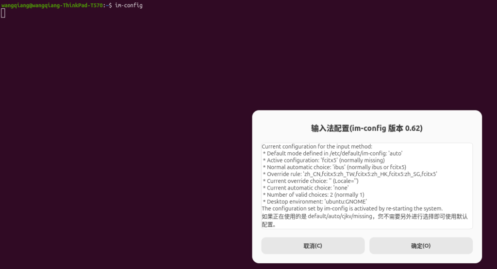 图4 im-config 显示当前配置为 fcitx5