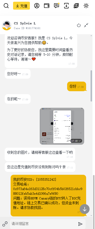 如图6:客服要求提供问题详细信息,我发送了UID、交易哈希和问题描述