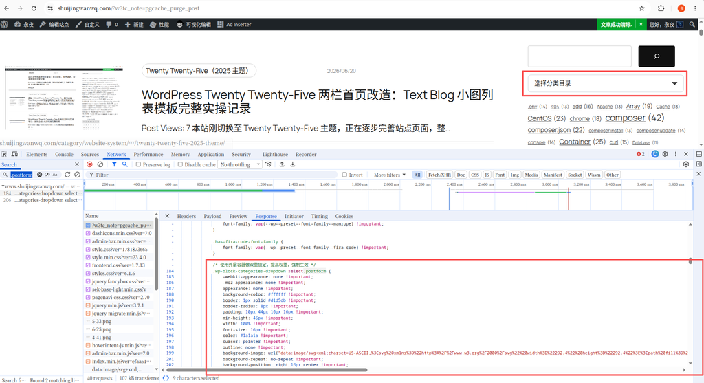 图10：全网 CSS 成功注入并生效，通过网络面板可观察到加载记录