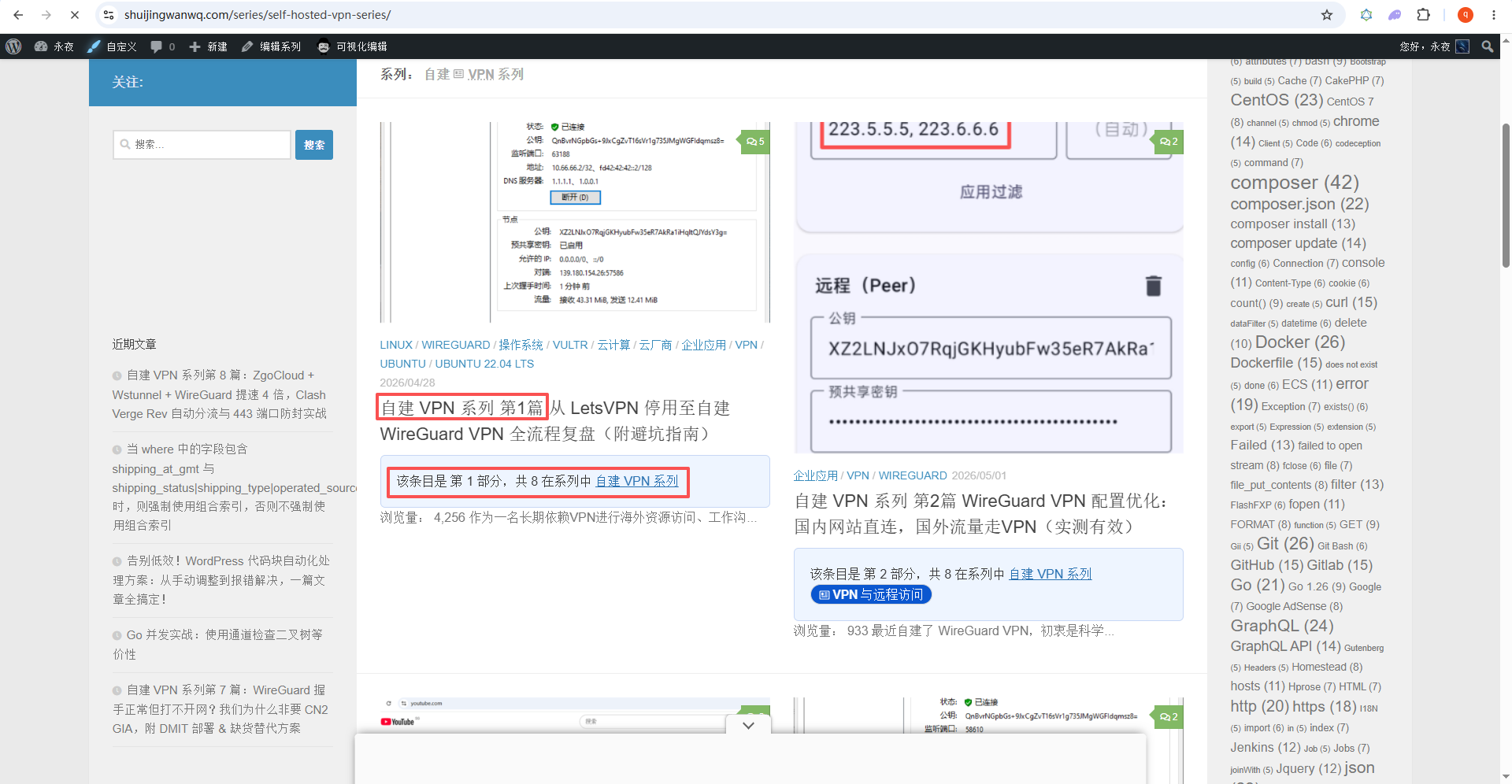 帖子详情:勾选后,文章列表会显示“该条目是 第 X 部分,共 Y 在系列中 自建 VPN 系列”。如图10