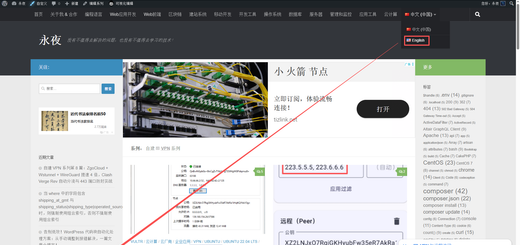 完成后，访问中文系列页 https://你的域名/series/self-hosted-vpn-series/，点击顶部的 English 切换按钮，就能正常跳转到 https://你的域名/en/series/self-hosted-vpn-series-en/ 了。如图13