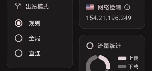 【截图位置：图17 展示了启动后的仪表盘界面】