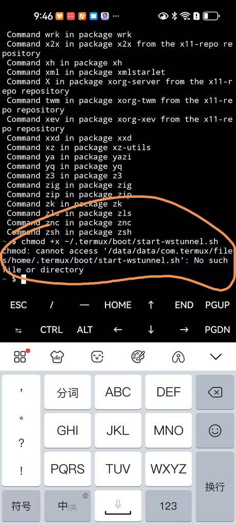 备注:报错信息 chmod: cannot access '/data/data/com.termux/file/home/.termux/boot/start-wstunnel.sh': No such file or directory