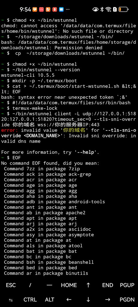 备注:红框显示错误 —— error: invalid value '你的域名' for '--tls-sni-override <DOMAIN_NAME>' : Invalid sni override: invalid dns name