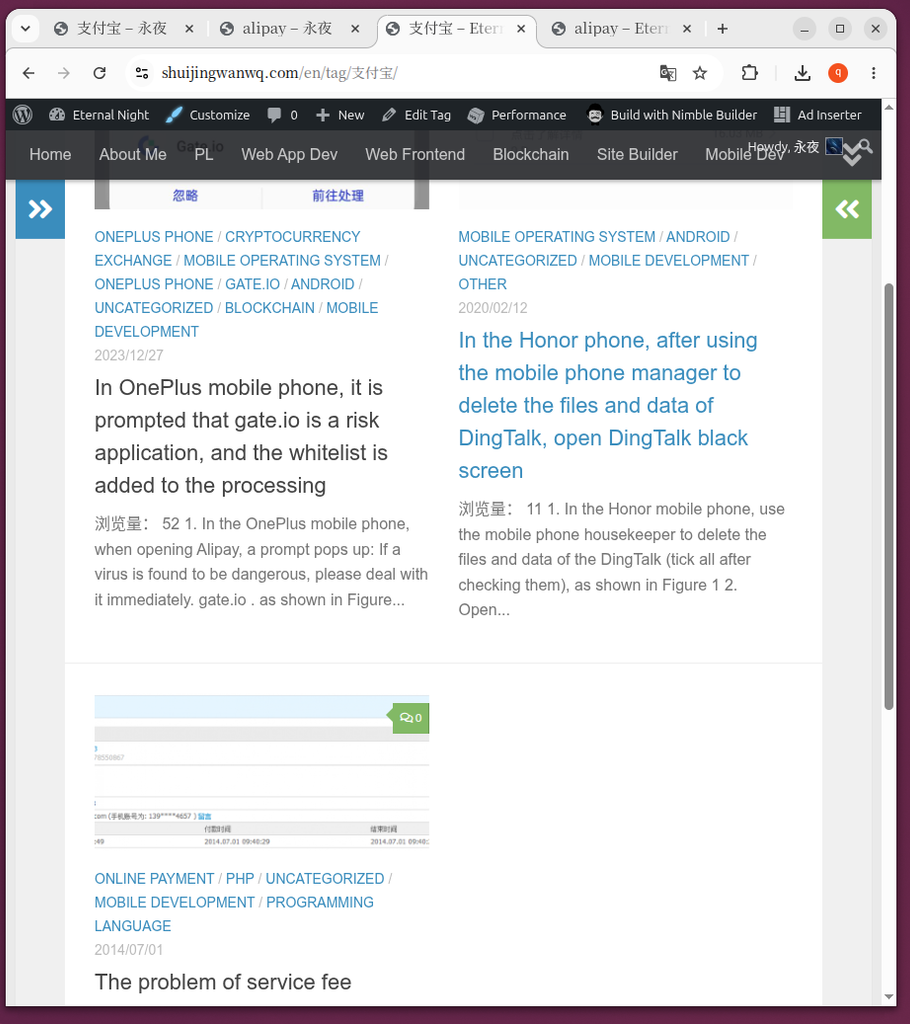 Figure 4 In the English environment, visit /en/tag/Alipay/