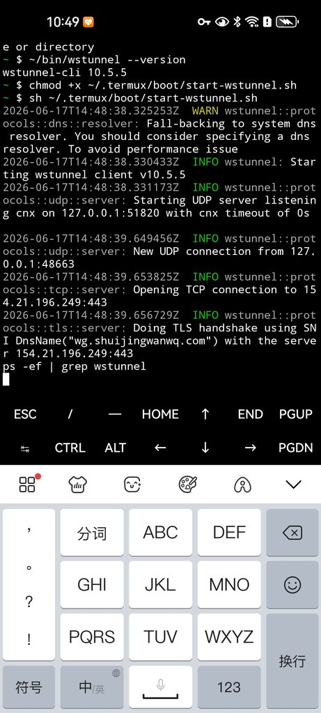 用户执行 sh ~/.termux/boot/start-wstunnel.sh,终端打印了如下日志(截图5)